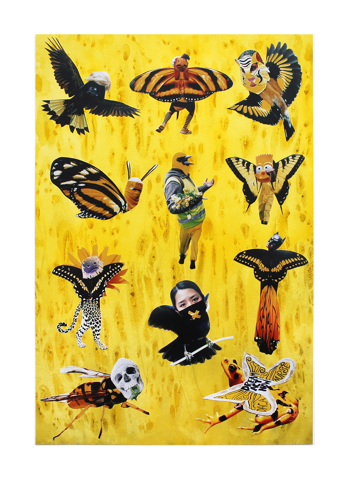 Jemima Wyman 'Taxonomy Anomalies (2)' 2019