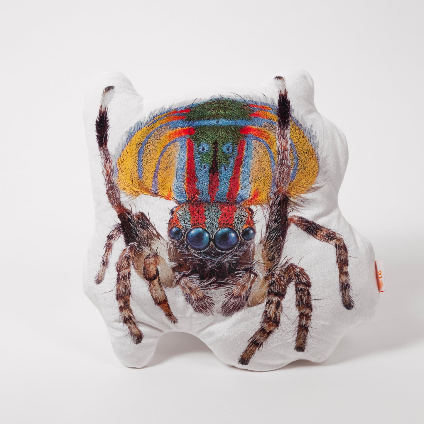 Spiders of Paradise cushions