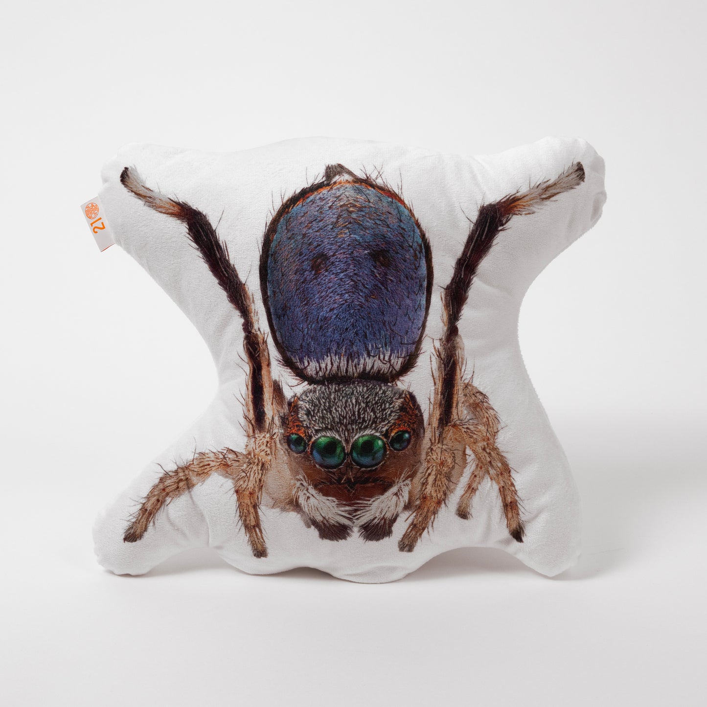 Spiders of Paradise cushions