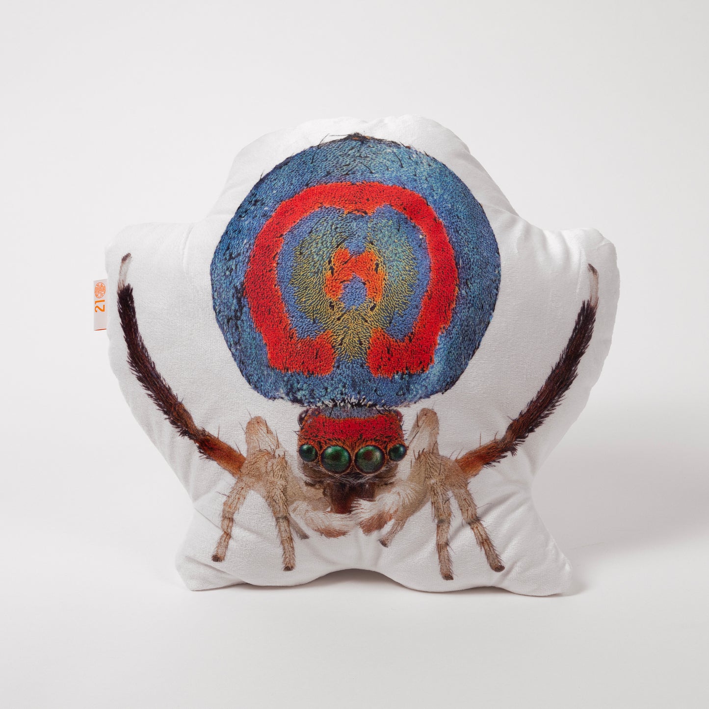 Spiders of Paradise cushions