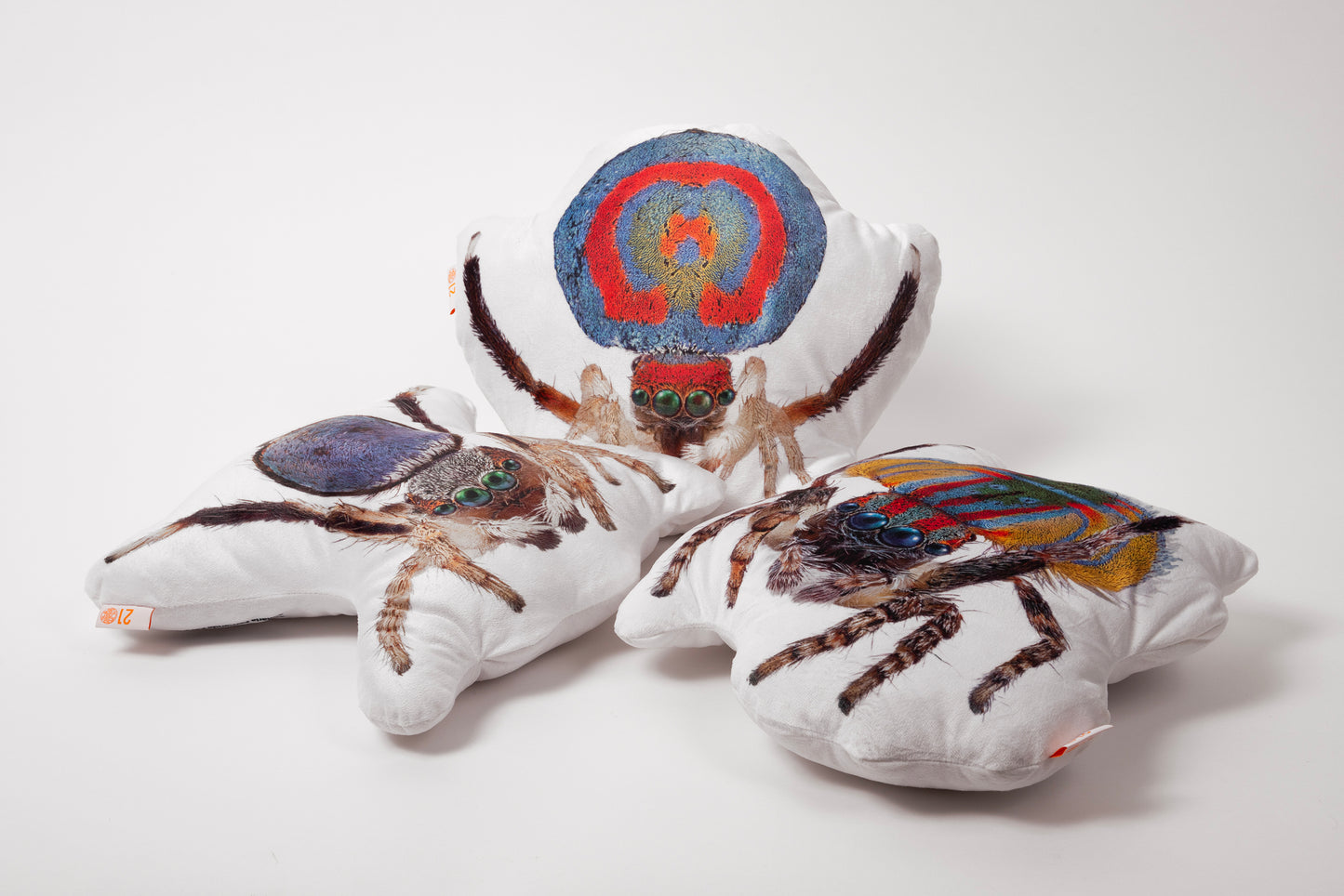 Spiders of Paradise cushions