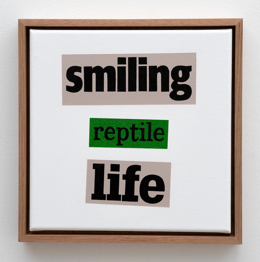 Michael Lindeman 'smiling reptile life', 2019